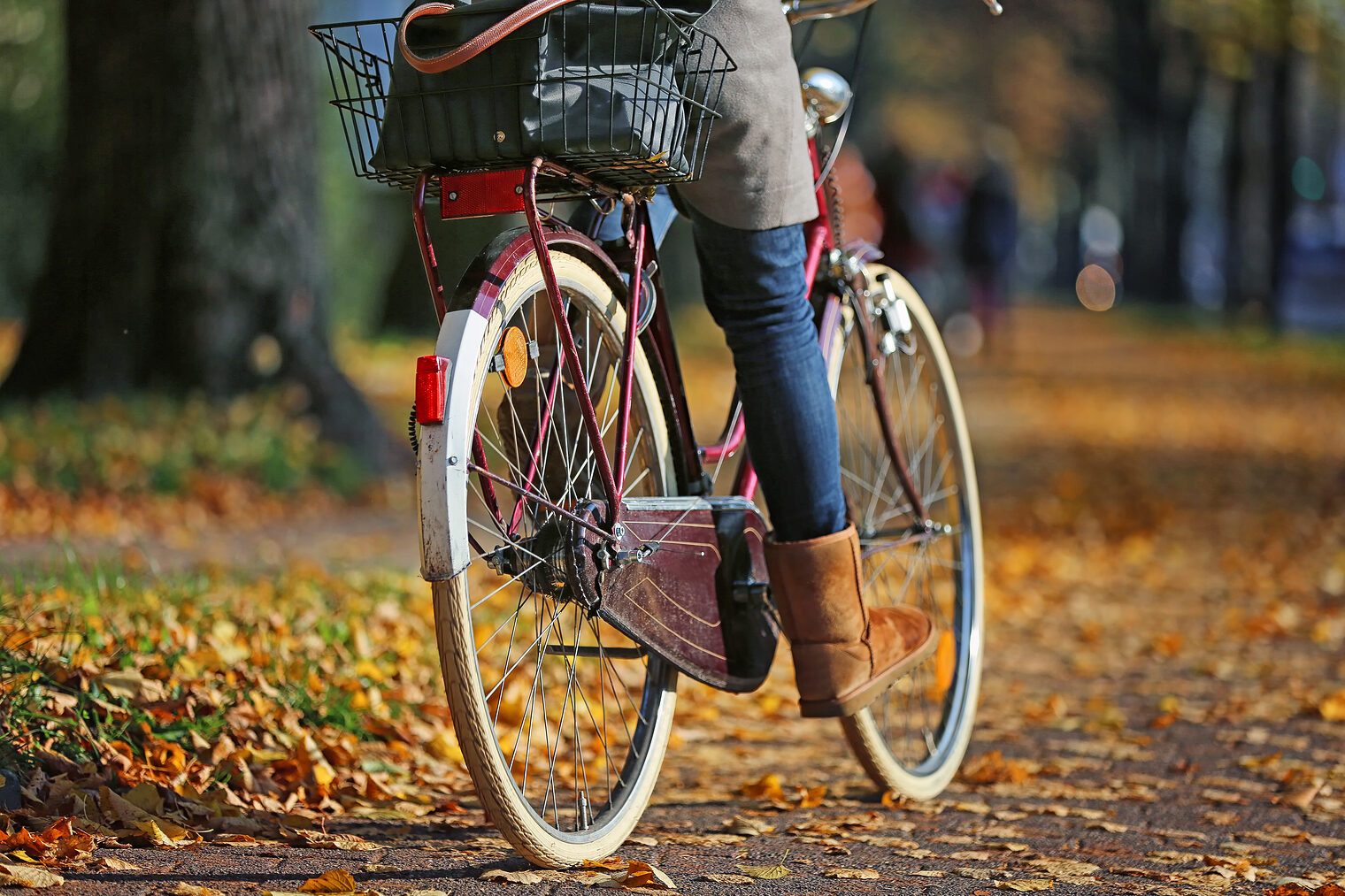 Fahrrad fahren im Herbst