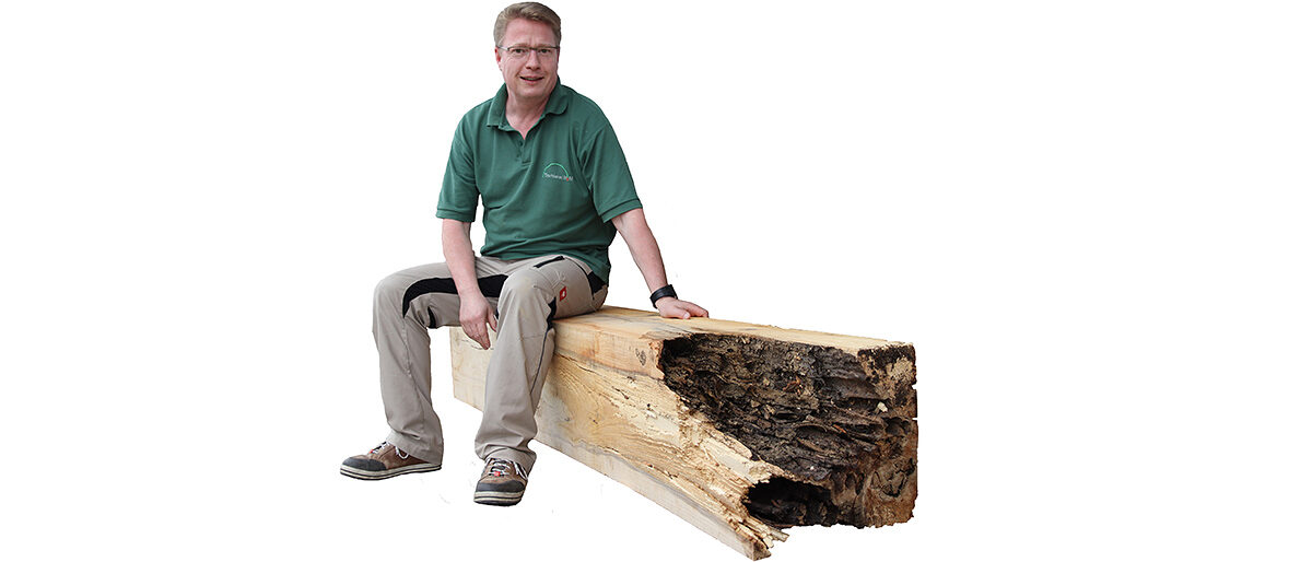 Ein Sturmschaden brachte van Munster das Möbelstück von Morgen. Durch das Holz aus dem Wolfsburger Stadtforst kann Geert van Munster deutlich nachhaltiger produzieren.